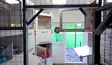 patilee-kedi-konaklama-01