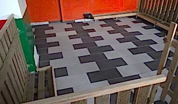 patilee-kopek-konaklama-02