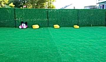 patilee-kopek-konaklama-04