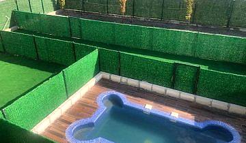 patilee-kopek-konaklama-07