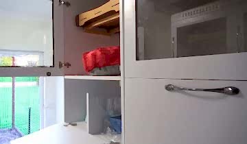 patilee-kopek-konaklama-10