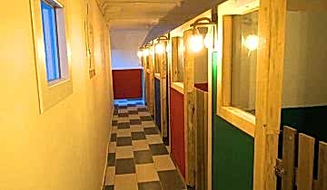 patilee-kopek-konaklama-11